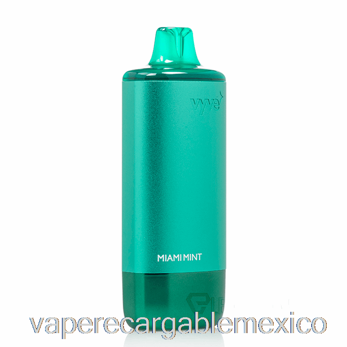 Vape Recargable Vyve 10000 Desechable Miami Mint